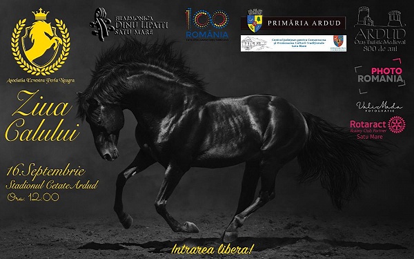 Calul va fi sărbătorit sub cetatea de la Ardud