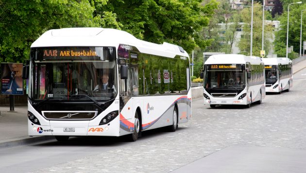 VESTE BUNĂ! Autobuze HIBRID noi, la Satu Mare. Primăria vrea să le cumpere dacă obține girul consilierilor locali