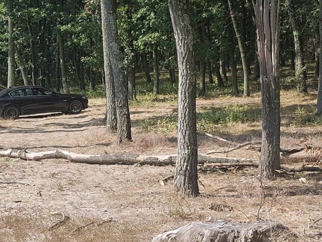 ACUZAȚII GRAVE. ”Ocolul Silvic Satu Mare, împotriva organizării în bune condiții a Festivalului de la Oțeloaia”