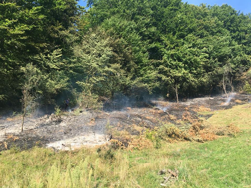 Pădure salvată de la incendiere