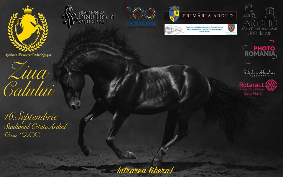 Ziua Calului la Ardud