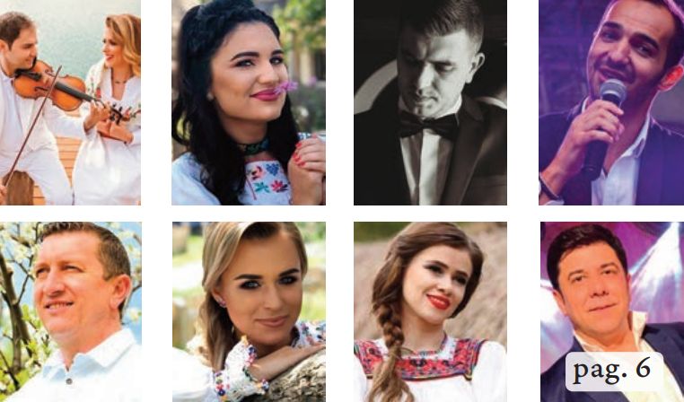 Top 8 artişti sătmăreni cu cele mai multe like-uri pe Facebook