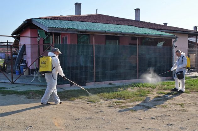 Amplă acțiune de dezinsecție în locuințele sociale