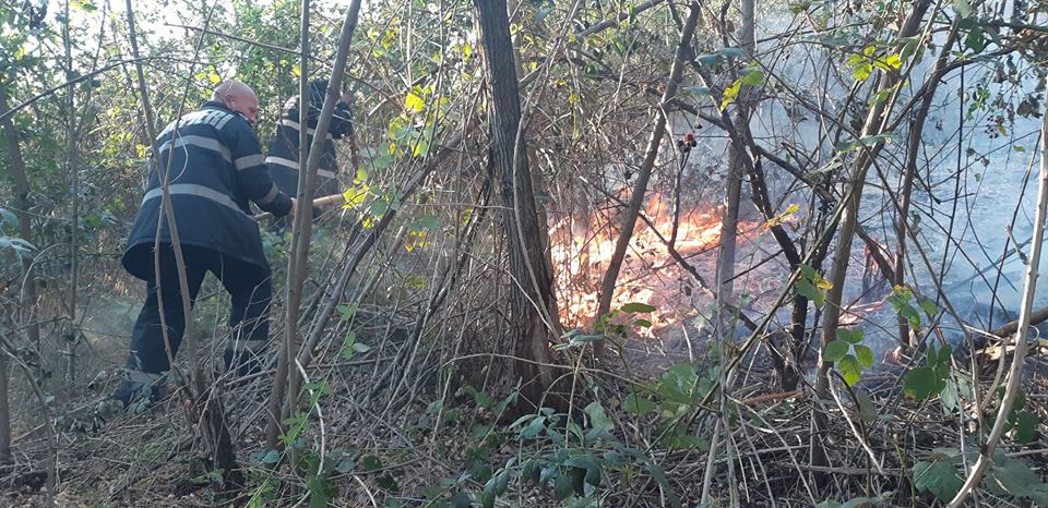 FOTOGALERIE. Incendiu de amploare în județ. Pădure în PERICOL