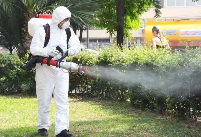 O nouă acțiune de dezinsecție la Satu Mare