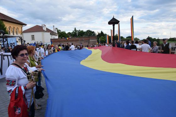 Proiect: Premiu de 5.000 de lei pentru veteranii şi văduvele de război în Anul Centenarului