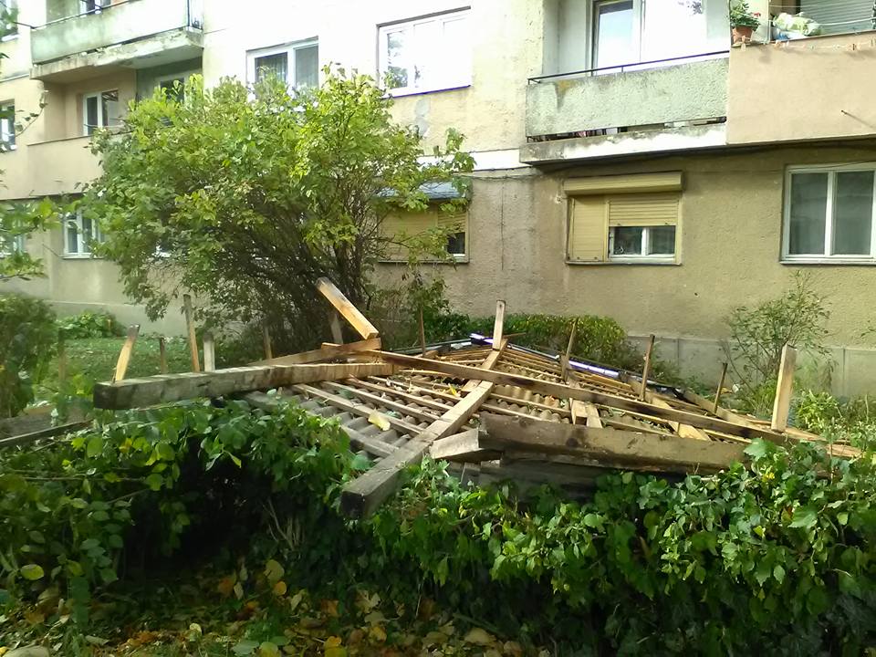 FOTO. FURTUNA a făcut RAVAGII în județ. Acoperișuri smulse, stâlpi și copaci culcați la pământ