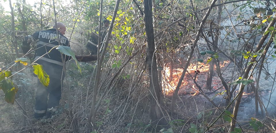 NEPĂSARE. Terenuri pârjolite. Patru incendii, doar azi, 13 în ultima săptămână