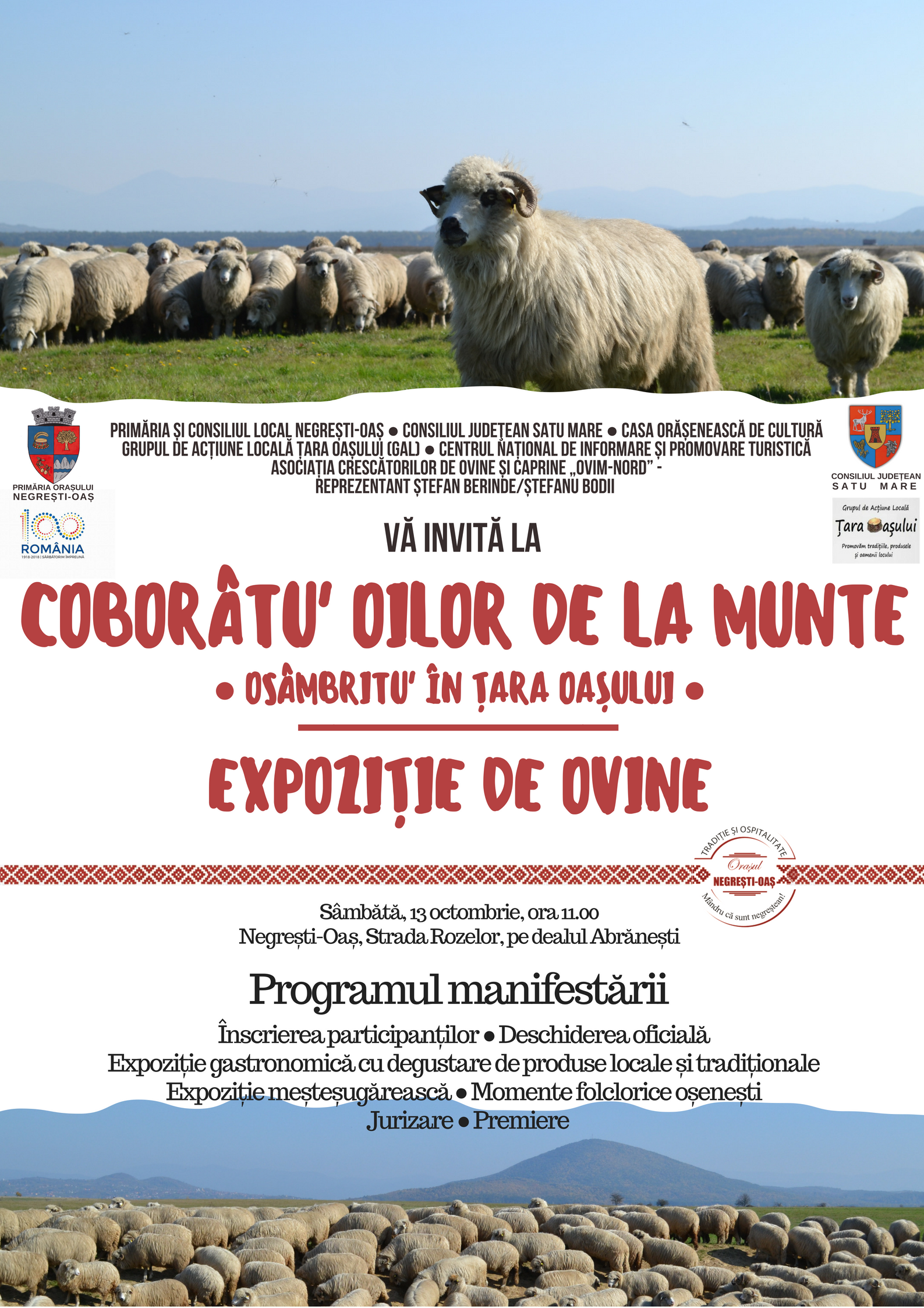 Coborâtu’ oilor de la munte. Osâmbritu’ în Țara Oașului – expoziţie de ovine