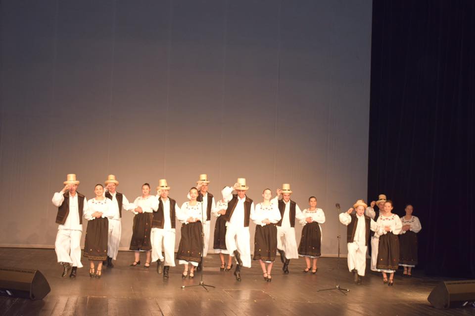 FOTOGALERIE. Spectacol artistic dedicat “Zilei Armatei Române”. Pe scena Teatrului de Nord