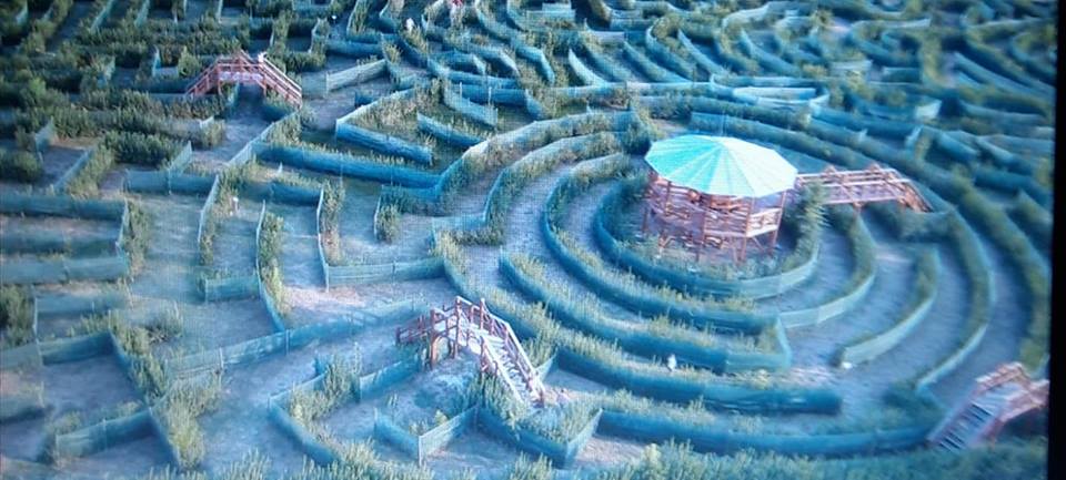 Labirintul reciclării