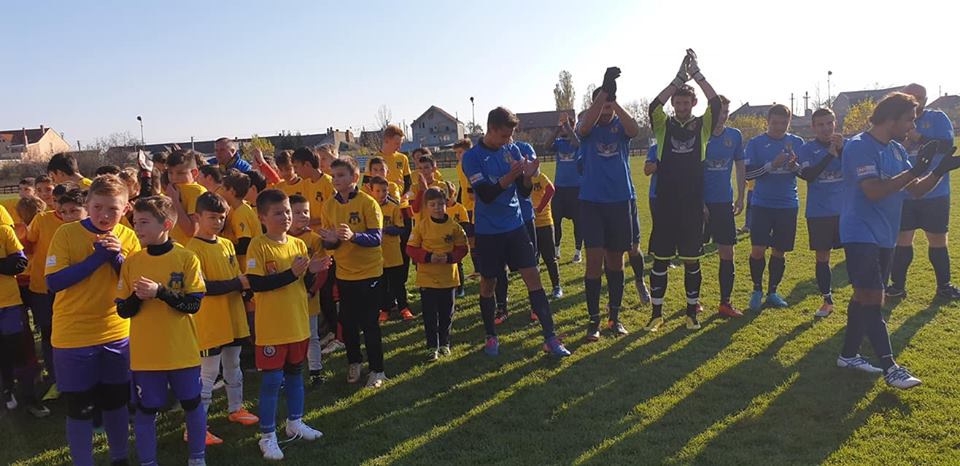 Inedit  /  Centenar galben-albastru