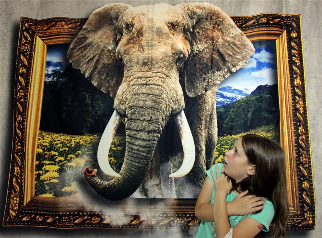 Muzeul Iluziilor în premieră  la Satu Mare