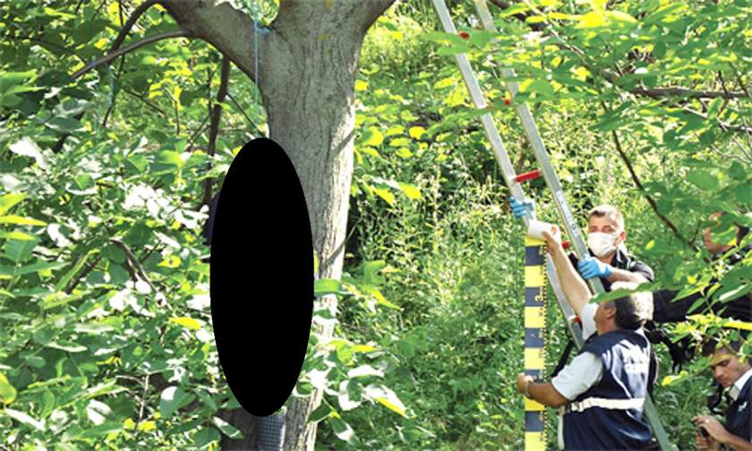 ÎNFIORĂTOR. Schelet SPÂNZURAT, găsit într-o pădure. Atârna acolo de mai bine de un an