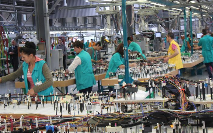 Economia județului, pe plus în acest an