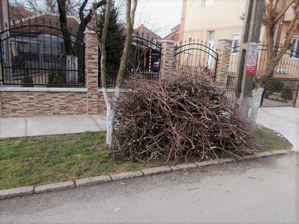 Începe campania “Curățenia de toamnă”