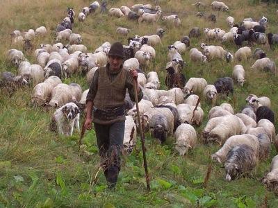 Pe-un picior de plai, pe-o gură de rai/ Baciule, unde paști fără nici un bai?