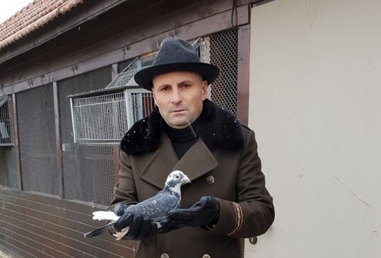 Evenimentul columbofil al anului, la Satu Mare. Michael Mureșan și Asociația ”Voiajorul”, organizatori