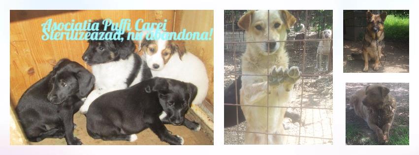 IMPRESIONANT. Gest ULUITOR făcut de o fetiță din județ. Ce a făcut cu banii primiți de Moș Crăciun