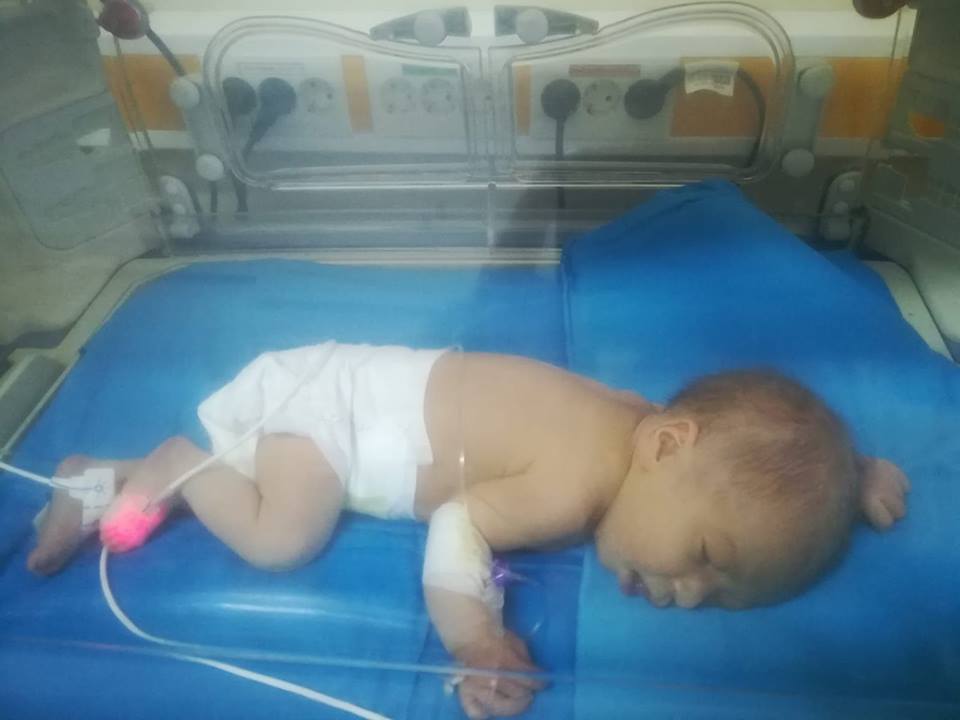 FOTO. Acest INGERAȘ trebuie să TRĂIASCĂ. Noi, toți, îi putem SALVA VIAȚA