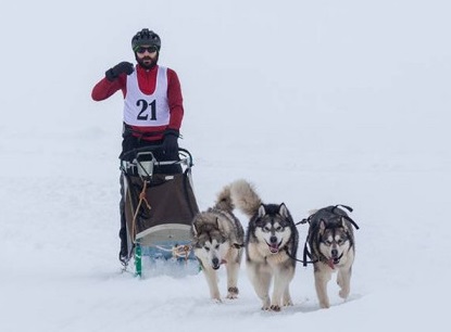 Careianul Daniel Tentiş, pe podium la un concurs internațional de sănii trase de câini