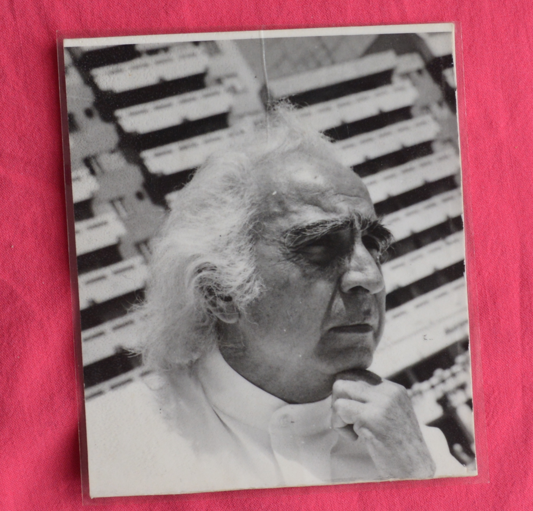 Nicolae Porumbescu, arhitectul care a dat viaţă Sătmarului