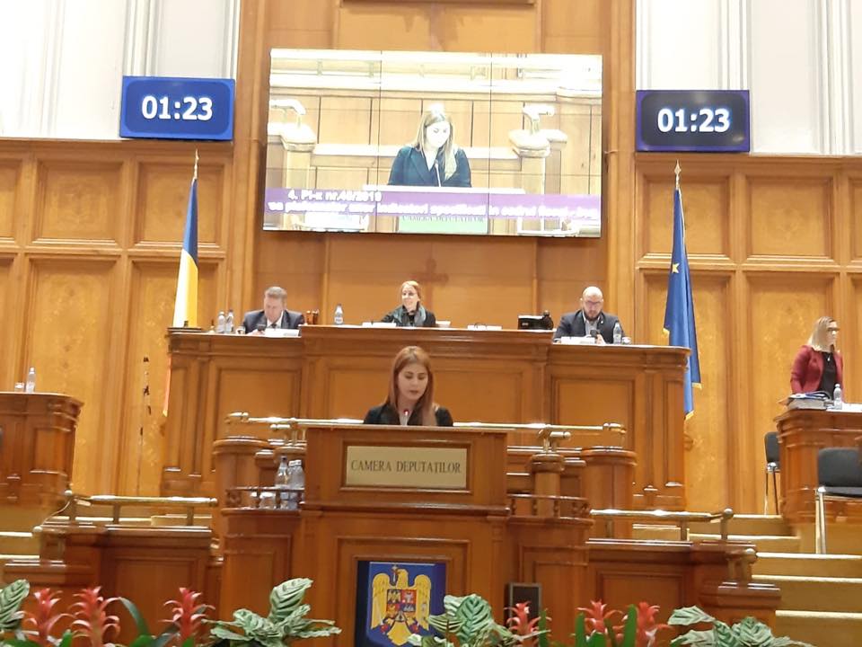 Ioana Bran: Implementarea Programului de guvernare  are rezultatele așteptate