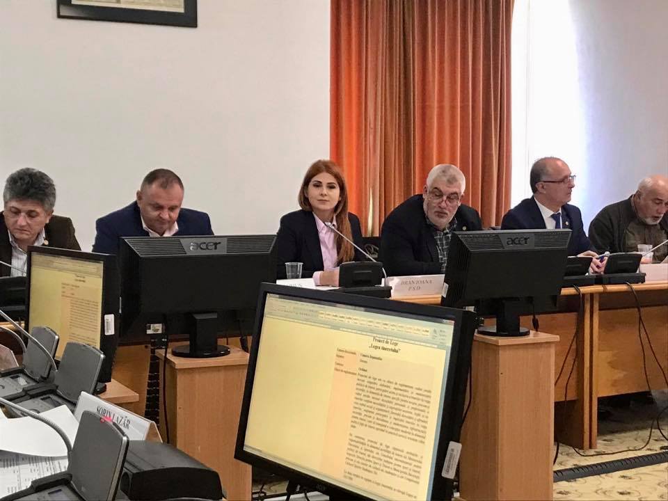 Deputatul Ioana Bran a votat ieri două proiecte în cadrul Comisiei buget-finanțe-bănci a Camerei Deputaților