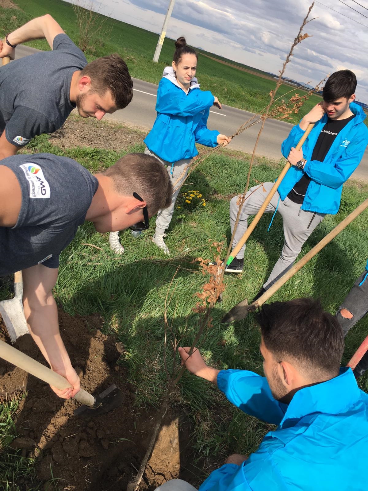 FOTO. Peste 150 de copaci plantați de tinerii ALDE în cadrul acțiunii „O nouă pădure pentru noua generaţie”