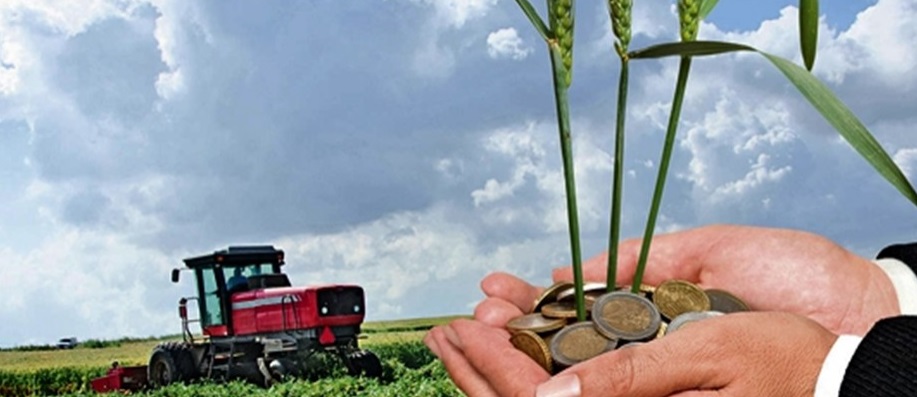 PSD îi sprijină pe fermieri! APIA Satu Mare anunţă plăţi de peste 5 milioane euro