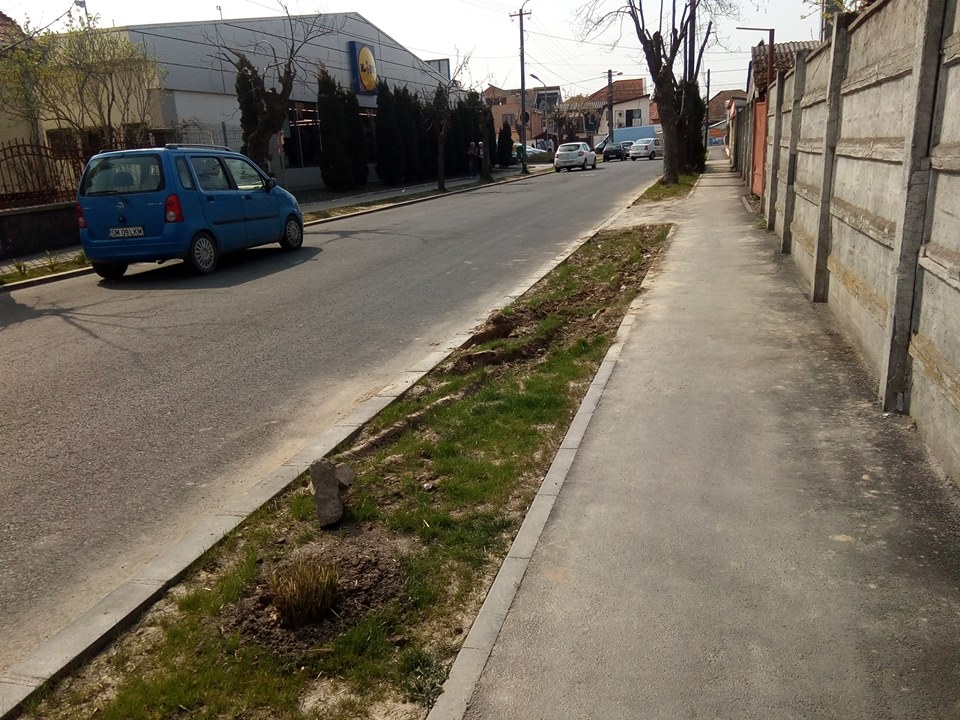 Arături de primăvară,  pe spații verzi