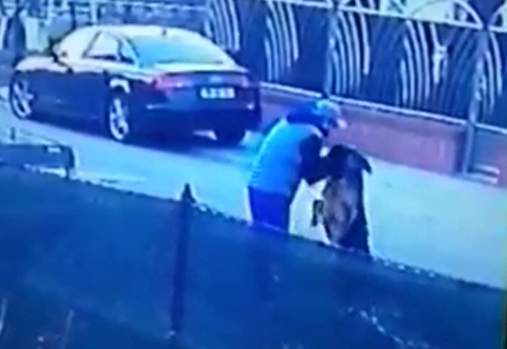 VIDEO. ÎNFIORĂTOR!!! Un sătmărean își TERORIZEAZĂ câinele. Motivul este INCREDIBIL