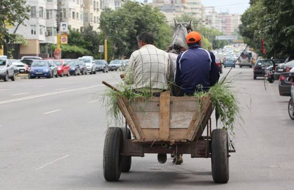 Sălăjenii, cu CĂRUȚELE prin Satu Mare. Opriți și AMENDAȚI de Poliția Locală