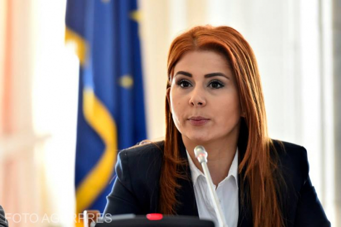 Bani pentru centrele de colectare a fructelor de pădure și ciupercilor