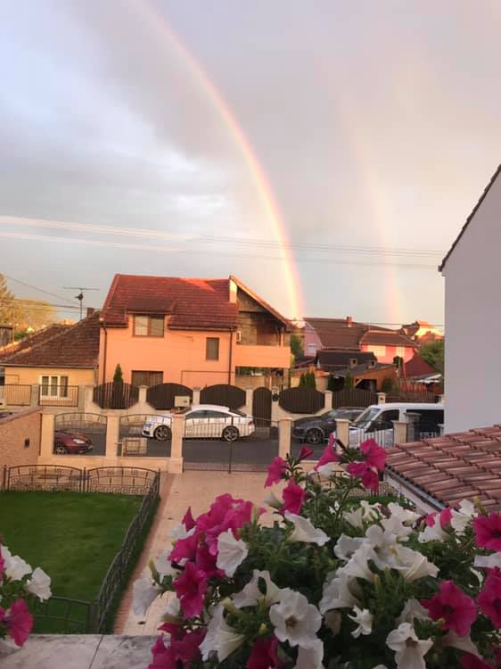 FOTO. CURCUBEU, azi dimineață la SATU MARE. I-a însoțit pe sătmăreni în drum spre muncă