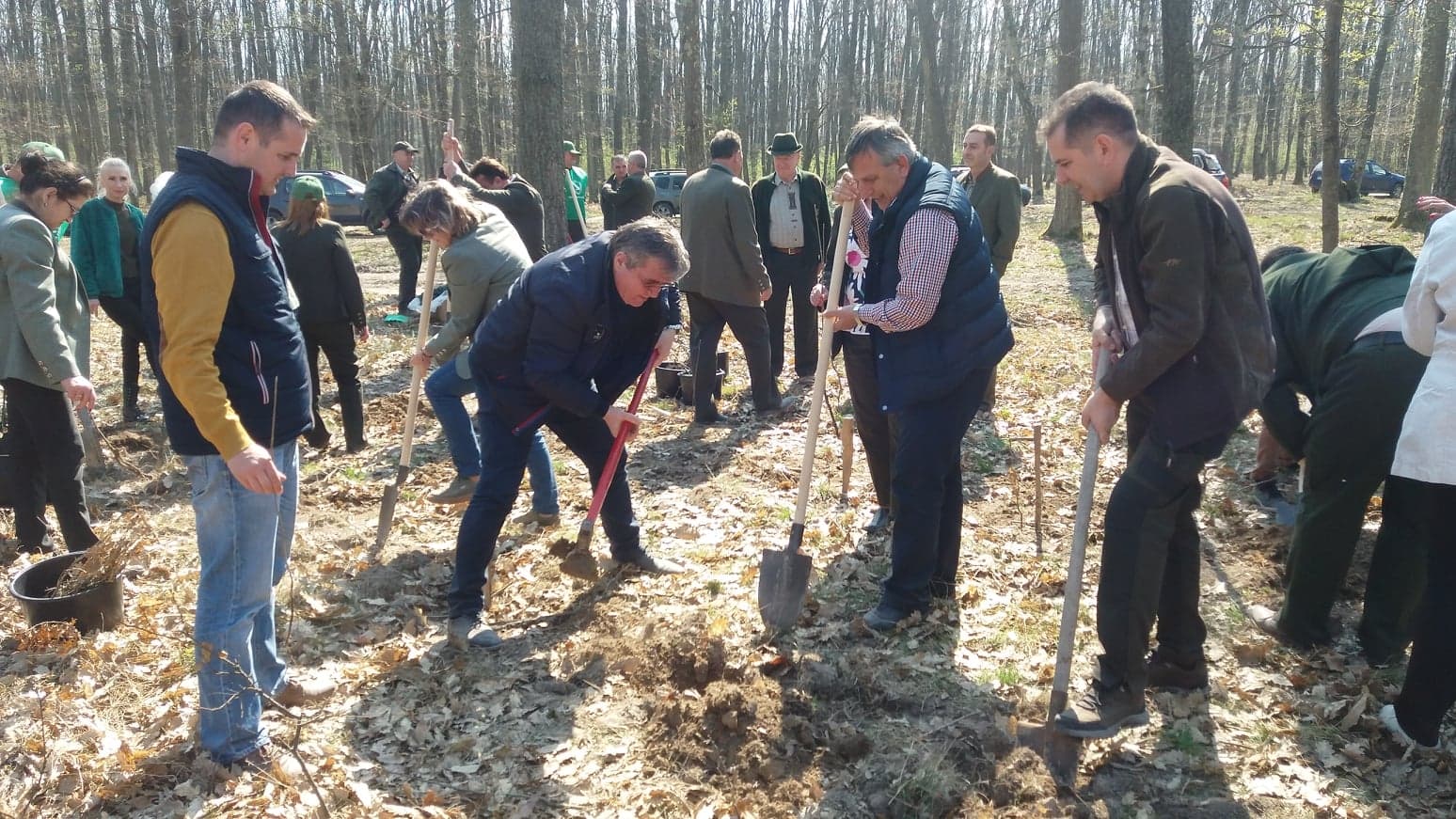 VIDEO/FOTO. Peste 200 de mii de puieți, PLANTAȚI în județ în LUNA PĂDURII