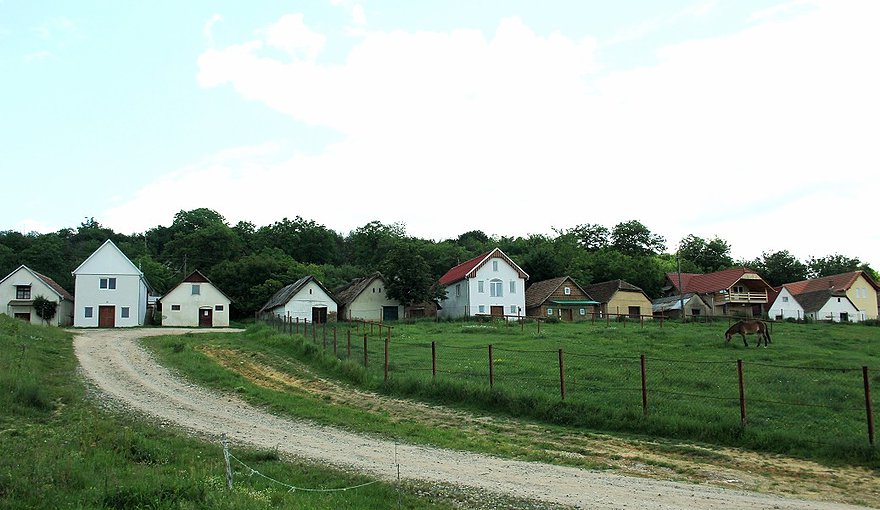 Beltiug, localitate cu o existenţă multiseculară şi în care viţa de vie a fost şi este un element important