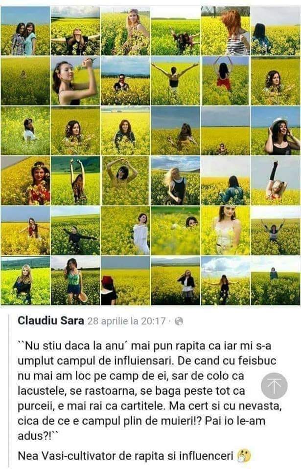 De veghe în lanul de…japiţe