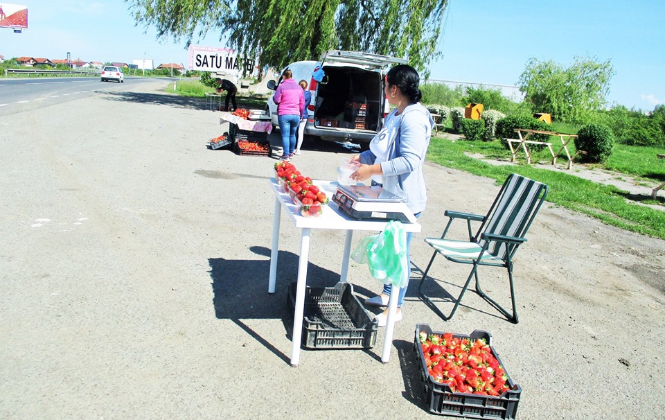 FOTO. FALȘI ”căpșunari” din Stâna, ALUNGAȚI de Poliția Locală. Se dădeau PRODUCĂTORI, dar vindeau ILEGAL