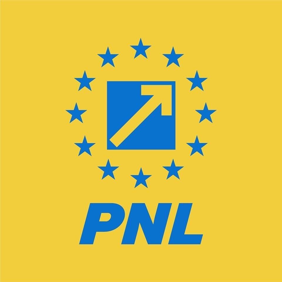 PNL susţine referendumul pentru justiţie