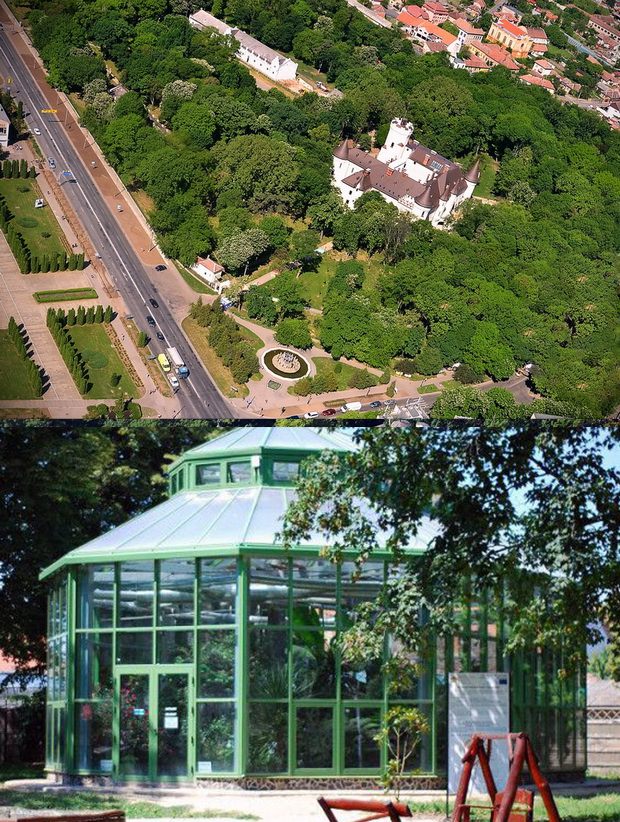 Oaza de răcoare din mijlocul Careiului. Parcul dendrologic din oraş este cotat printre cele mai frumoase din ţară