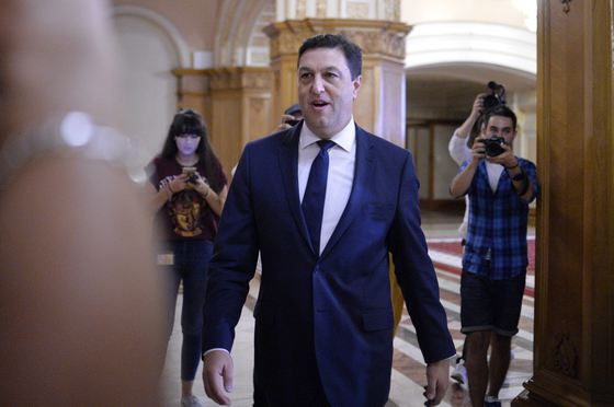 Şerban Nicolae şi-a anunţat, în CEx,  candidatura la Preşedinţia României