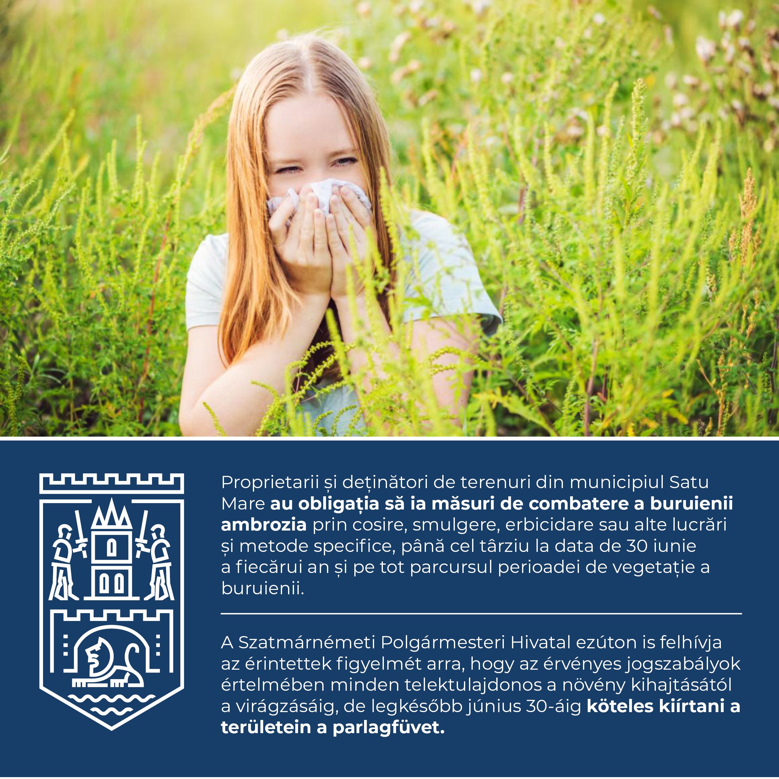 Proprietarii de terenuri trebuie să ia măsuri de combatere a ambroziei