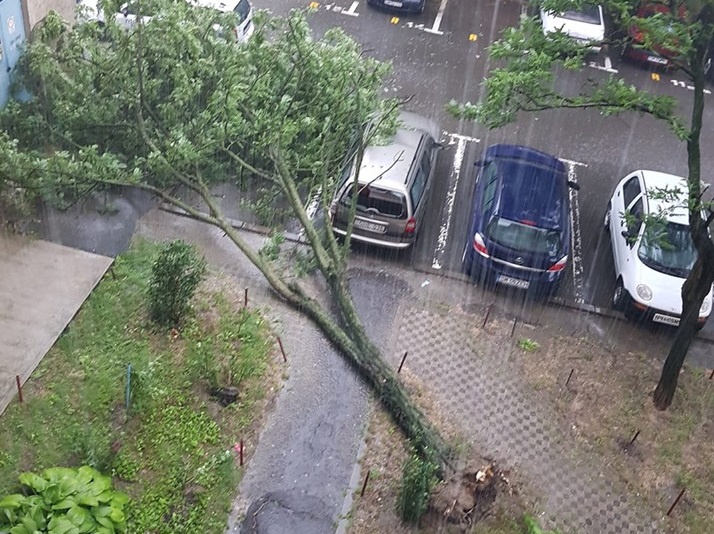 Codul Roșu a făcut prăpăd  la Satu Mare