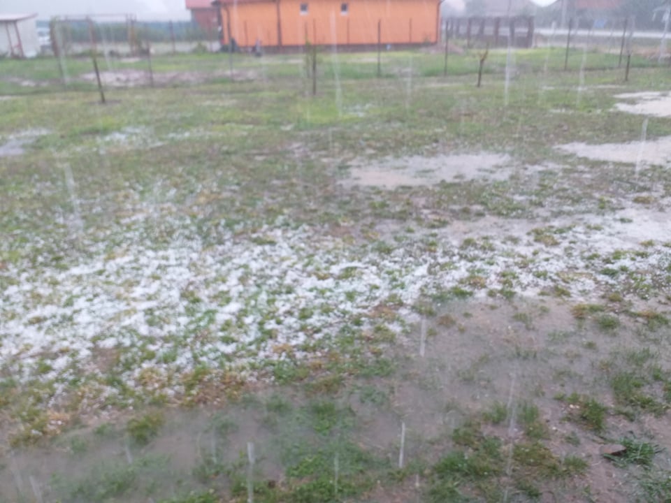 VIDEO. POTOP. Rupere de nori și GRINDINĂ în județ. Culturi COMPROMISE