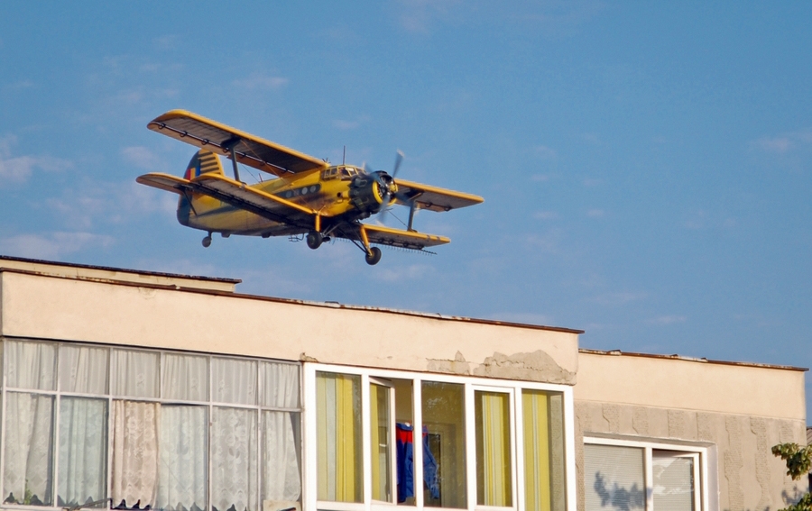 VESTE BUNĂ. Începe RĂZBOIUL împotriva ȚÂNȚARILOR la Satu Mare