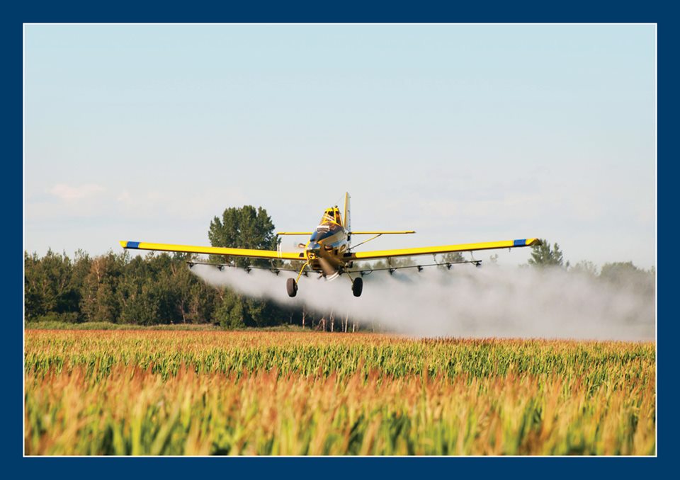 Primăria Satu Mare declară război țânțarilor