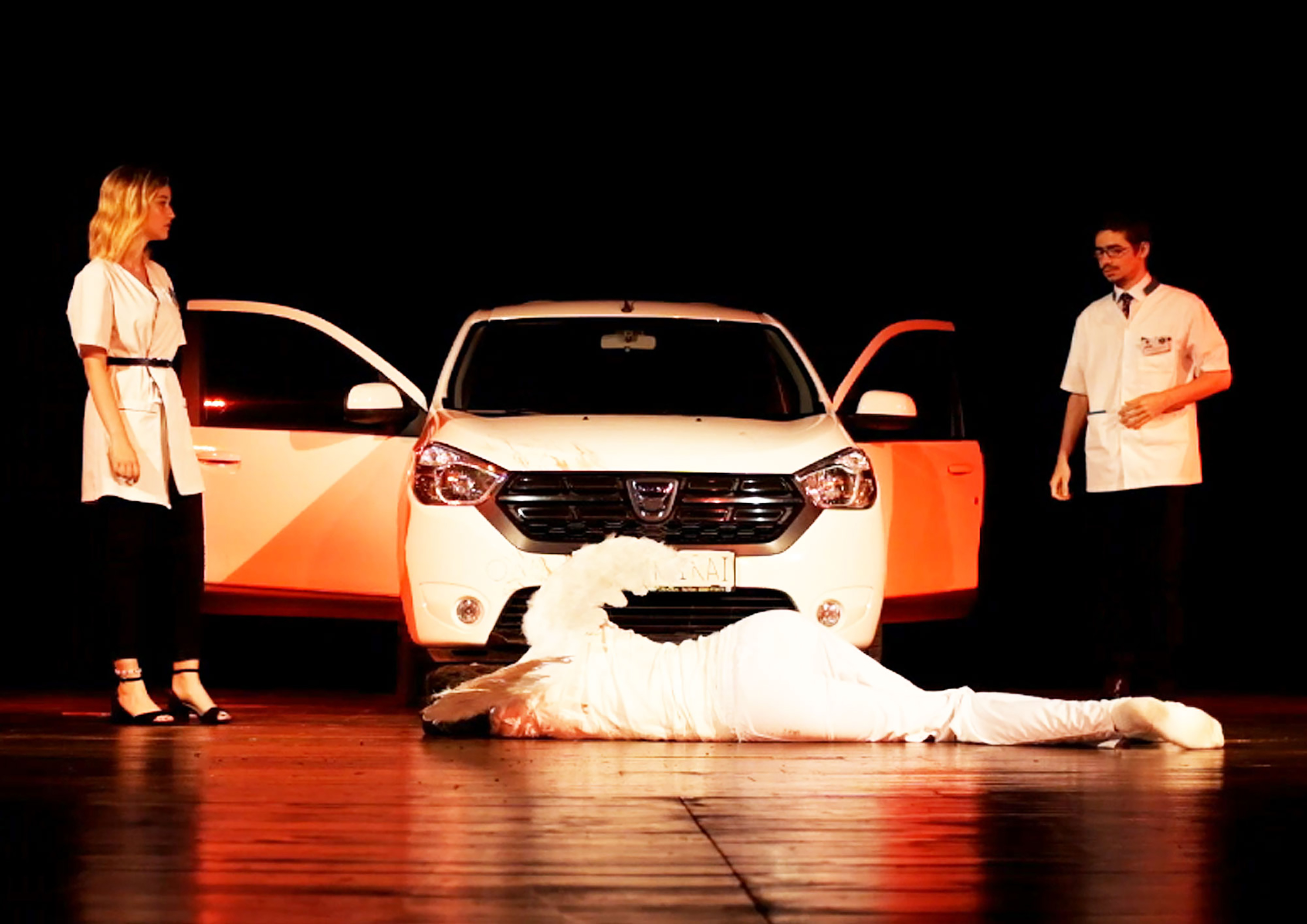 Emoții puternice și ropote de aplauze la premiera spectacolului Dawn way, prezentat de trupa M.E.E.M. din Carei