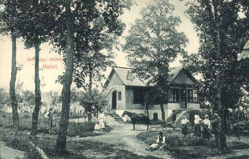 Istoricul comunei Halmeu, una dintre principalele porţi de intrare ale ţării