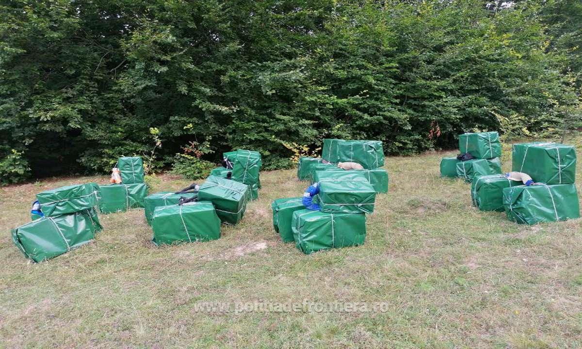 VIDEO/FOTO. FOCURI de ARMĂ în Țara Oașului. Polițiștii au INTERVENIT în forță